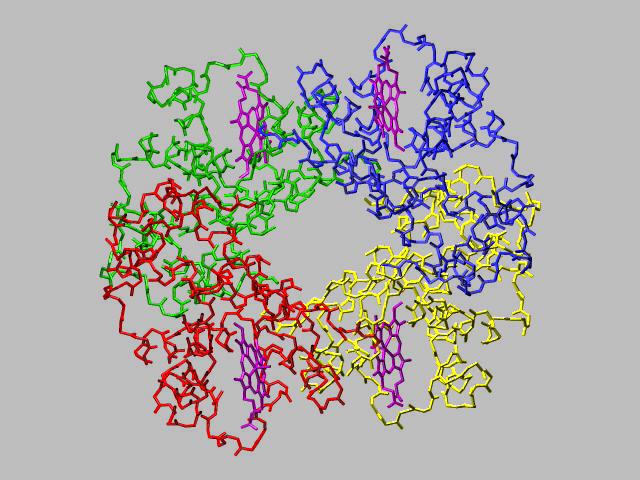 pic-med-phys2